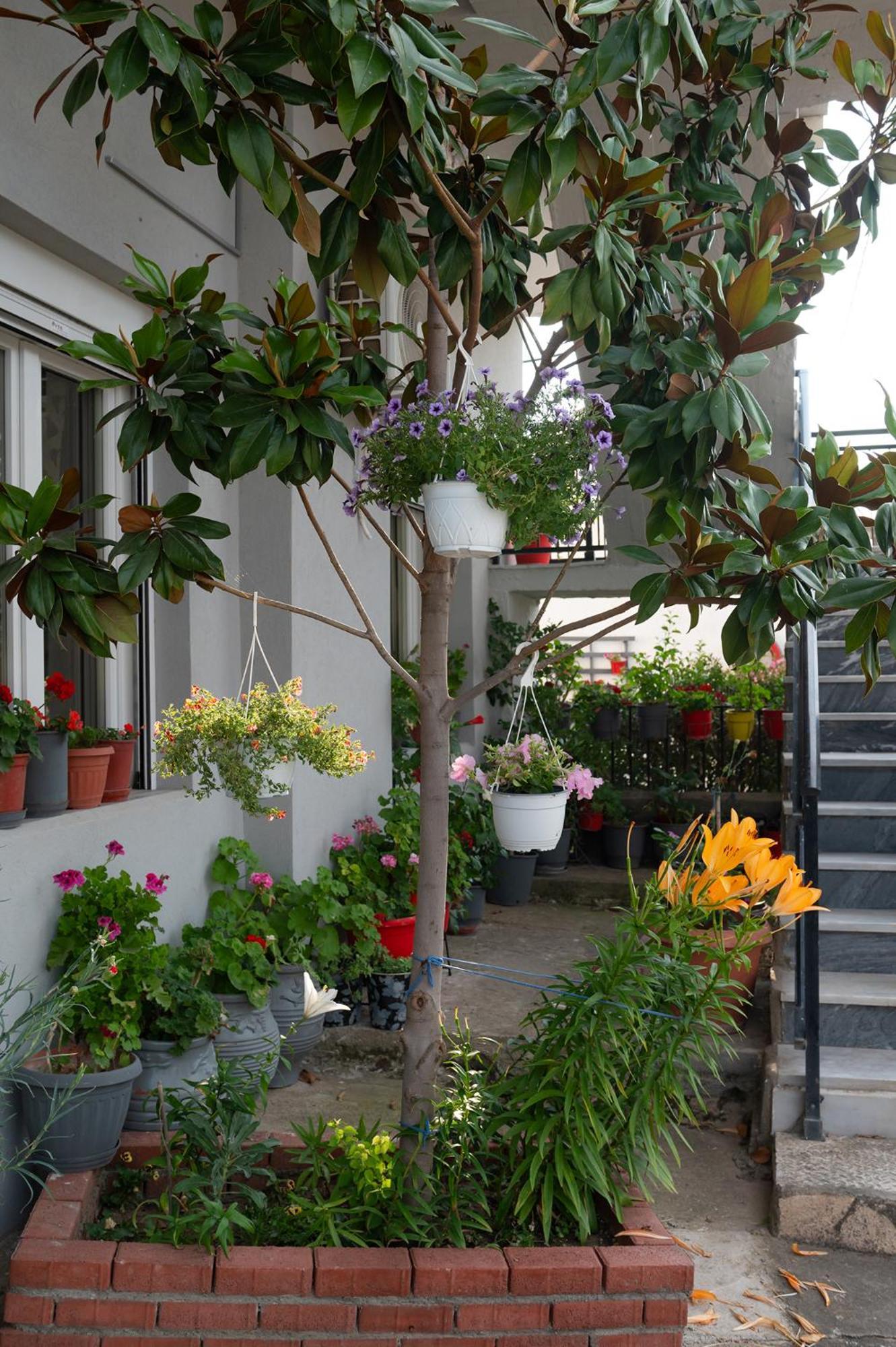 Four Sis Rooms Mangana 外观 照片